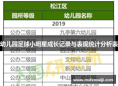 幼儿园足球小明星成长记录与表现统计分析表