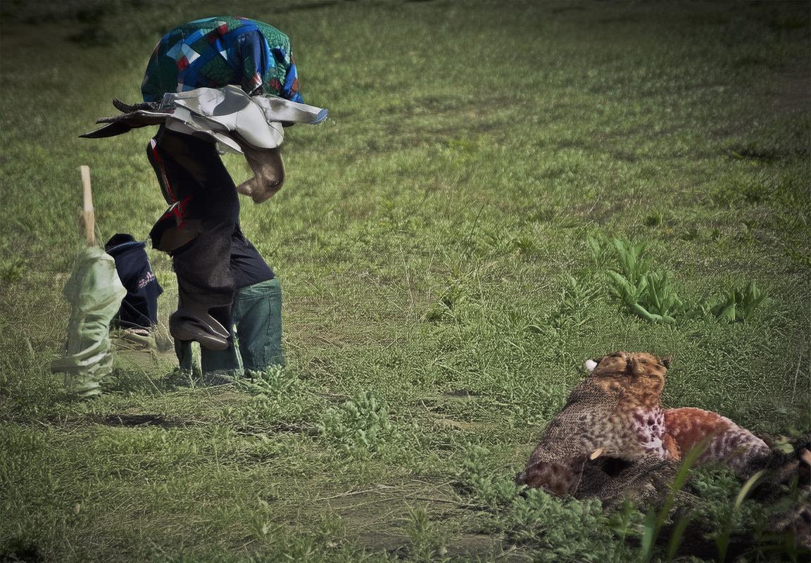 杨瀚森NBA新秀首秀低迷，雷霆队团队火力全开，年轻球员成长与国际球员适应需时间